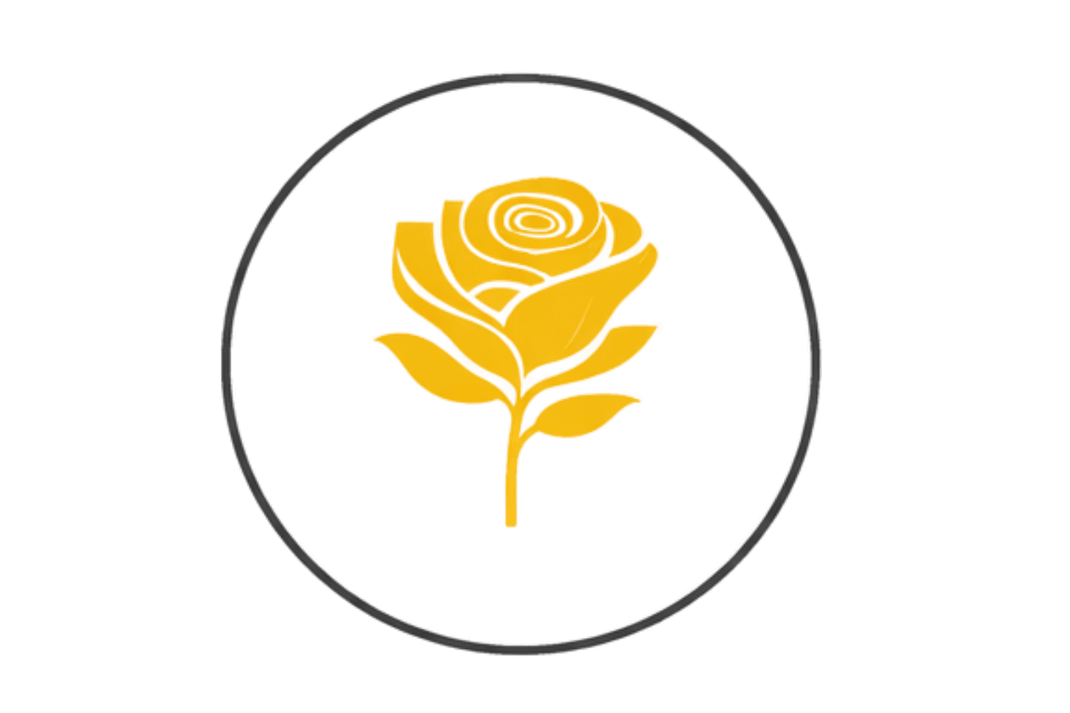Silk Foundation mark